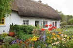 Adare typical houses