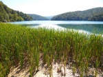 Lake in Plitvice National Park