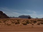 The red sand of Wadi Rum