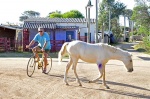 cyclist and horse in Valizas street Uruguay