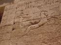 Ir a Foto: Ramsés III -Medinet Habou -Egipto 
Go to Photo: Ramses III -Medinet Habou -Egypt