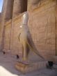 Go to big photo: Temple of Edfu (god Horus) -Egypt