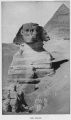 The Sphinx - Egypt
La Esfinge - Egipto