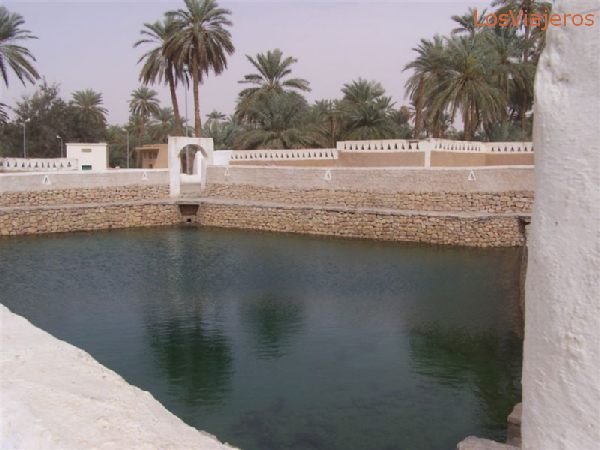 Ghadames, full pond at march ends - Libya
Ghadames, alberca llena a finales de Marzo - Libia