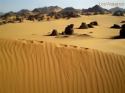 Ir a Foto: Akakus, sobre la cresta de las dunas, para admirar el paisaje 
Go to Photo: Akakus, over de dunes edge, to admire the panorama