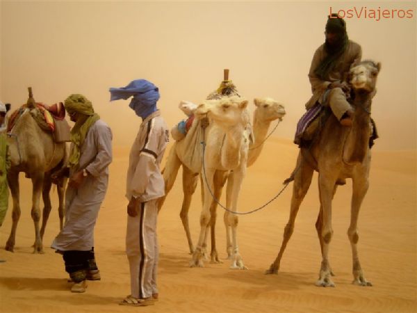 Tuaregs  amigos, conductores de camellos, o de vehículos todoterreno - Libia