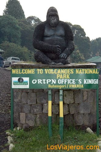 Parque Nacional de Los Volcanes - Ruanda