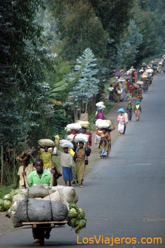 De camino al mercado - Ruanda