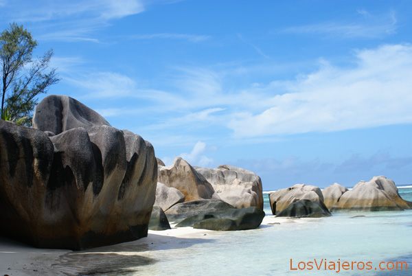 Formas caprichosas - Seychelles
