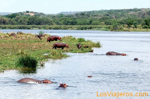 Parque Nacional Queen Elizabeth: Canal Kazinga - Uganda