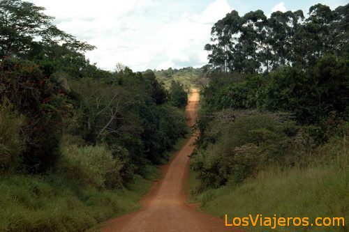 Caminos sin fin - Uganda