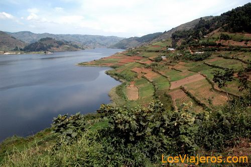 Bunyonyi lake - Uganda
Lago Bunyonyi - Uganda
