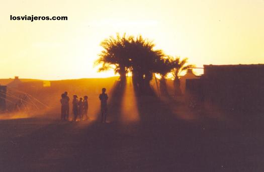 Sunset in the oasis - Tindouf - Algeria
Puesta de sol en un oasis del desierto - Tindouf - Argelia