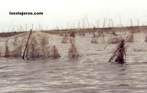 Redes en el lago - Ganvie - Benin