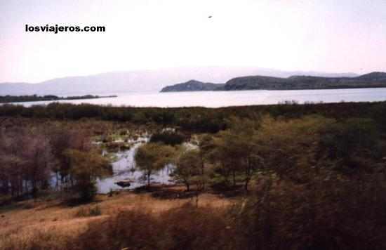 Lago Chamo - Arba Minch - Etiopia