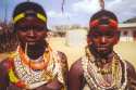 Go to big photo: Hamer's Tribe girls in Dimeka