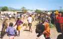 Ir a Foto: Jinka's Market in Omo Valley 
Go to Photo: Jinka's Market in Omo Valley