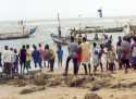Ampliar Foto: Esperando a la descarga de los peces - Shama - Ghana