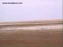 Ir a Foto: Desierto de Chalbi - Norte de Kenia 
Go to Photo: Chalbi desert