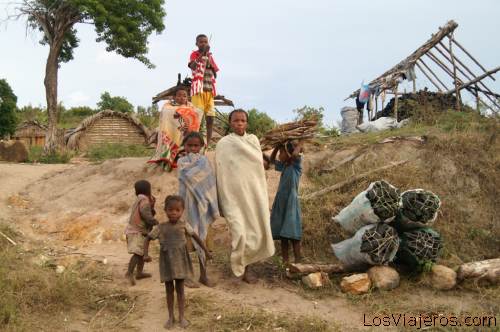 Carbon... causa de destruccion del bosque - Madagascar