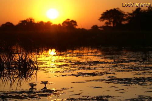 Atardecer en el Delta del Okavango, Bostwana - Namibia