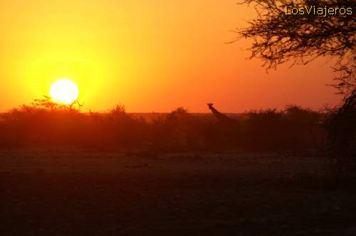 Atardecer en el Ethosa Park - Namibia