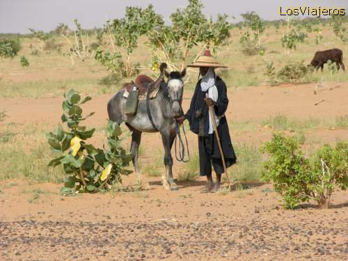 Pastor bororo - carretera Abalak- Ingal- Niger