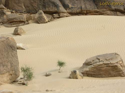 Landscape -Tenere Desert - Niger
Paisaje - desierto Tenere - Niger