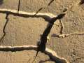 The drought returns - Niger
Vuelve la sequia - Niger