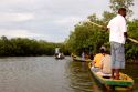 Ir a Foto: Manglares en La Boquilla - Cartagena 
Go to Photo: Mangrove swamp in the Boquilla