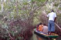Mangrove swamp in the Boquilla