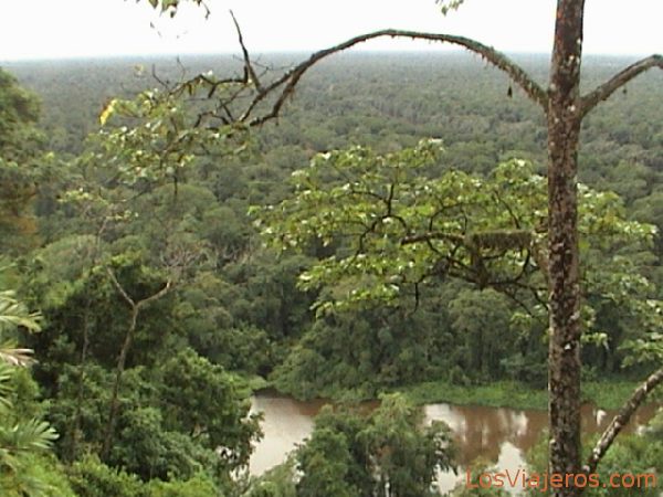 Parque Nacional de Tortuguero - Costa Rica