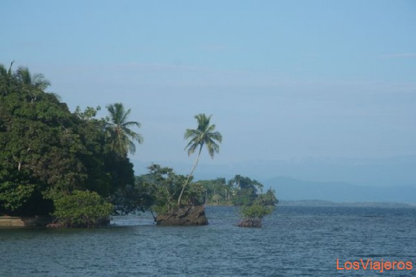 Bastimentos Island - Bocas del Toro - Panama
Isla Bastimentos - Bocas del Toro - Panama