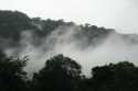 Rain Forest - Boquete - Panama
Bosque húmedo - Boquete - Panama