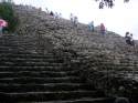Go to big photo: Coba Pyramid- Mayan Riviera