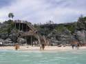 Go to big photo: Tulum Beach - Mayan Riviera