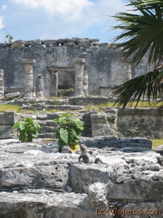 Tulum ruins - Mayan Riviera - Mexico
Ruinas de Tulum - Riviera Maya - Mexico