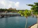 Go to big photo: Xcaret I swim with dolphins - Mayan Riviera