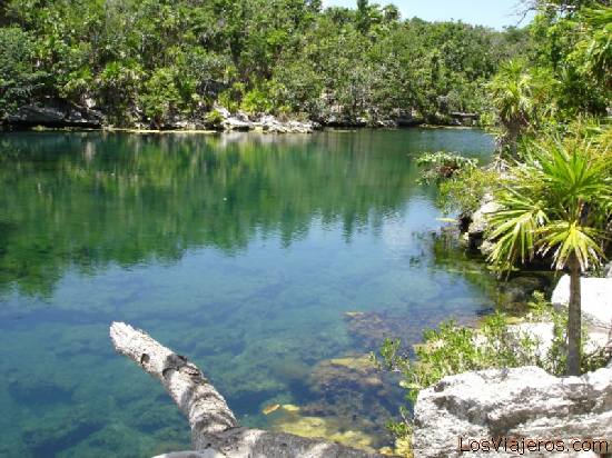 Cenote en Xel-ha - Riviera Maya - Mexico