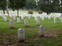 Go to big photo: Arlington Cementery - Washington D.C. - USA