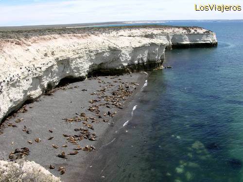 Punta Loma Reserve - Argentina
Reserva de Punta Loma - Argentina