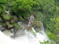 Go to big photo: Iguazu Waterfalls- Argentina