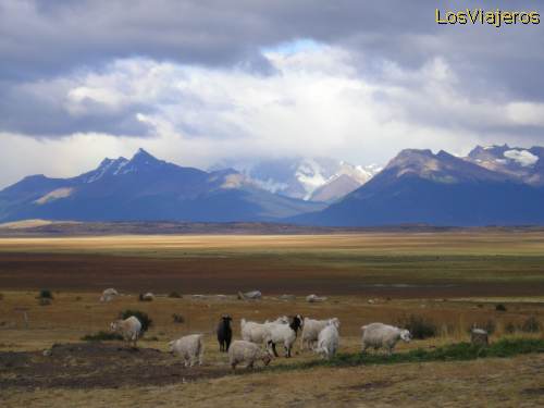 Patagonian landscape - Argentina
Paisaje de Patagonia - Argentina