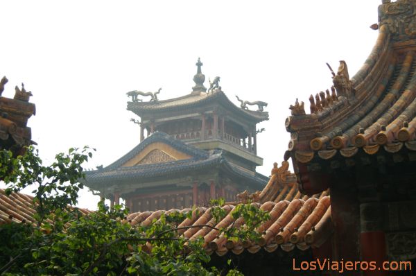 Decorated roofs of the Forbidden City - Beijing - China
Tejados de Ciudad prohibida - Pekin - China