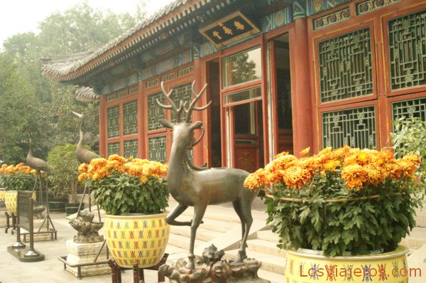 Gardens of the Summer Palace - Beijing - China
Jadines del Palacio de Verano - Pekin - China