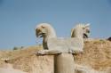Go to big photo: Persepolis-Griffin-Iran