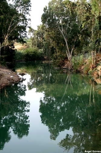 River Jordan - Israel
Rio Jordan - Israel
