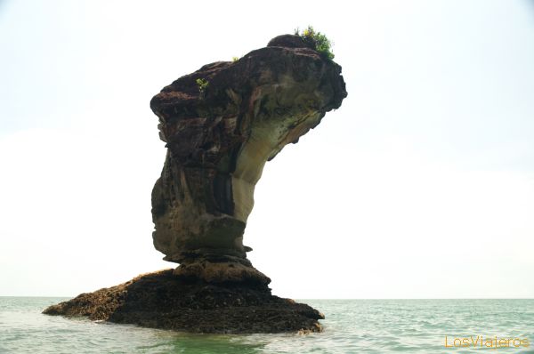 Roca en el mar - Parque Nacional de Bako -Sarawak- Malasia