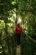 Ampliar Foto: Canopy  Walk, paseo por la copa de los árboles - Sabah - Malasia