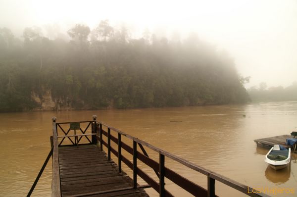 Río Kinabatangan -Borneo- Malasia